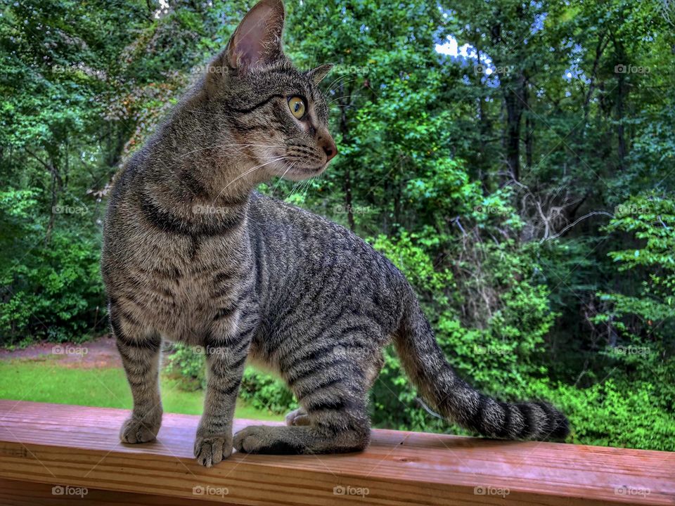 Benjamin Linus Hears A Noise!