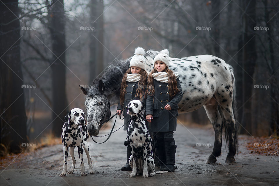 Twins girls with Appaloosa horse and Dalmatian dogs in autumn park 
