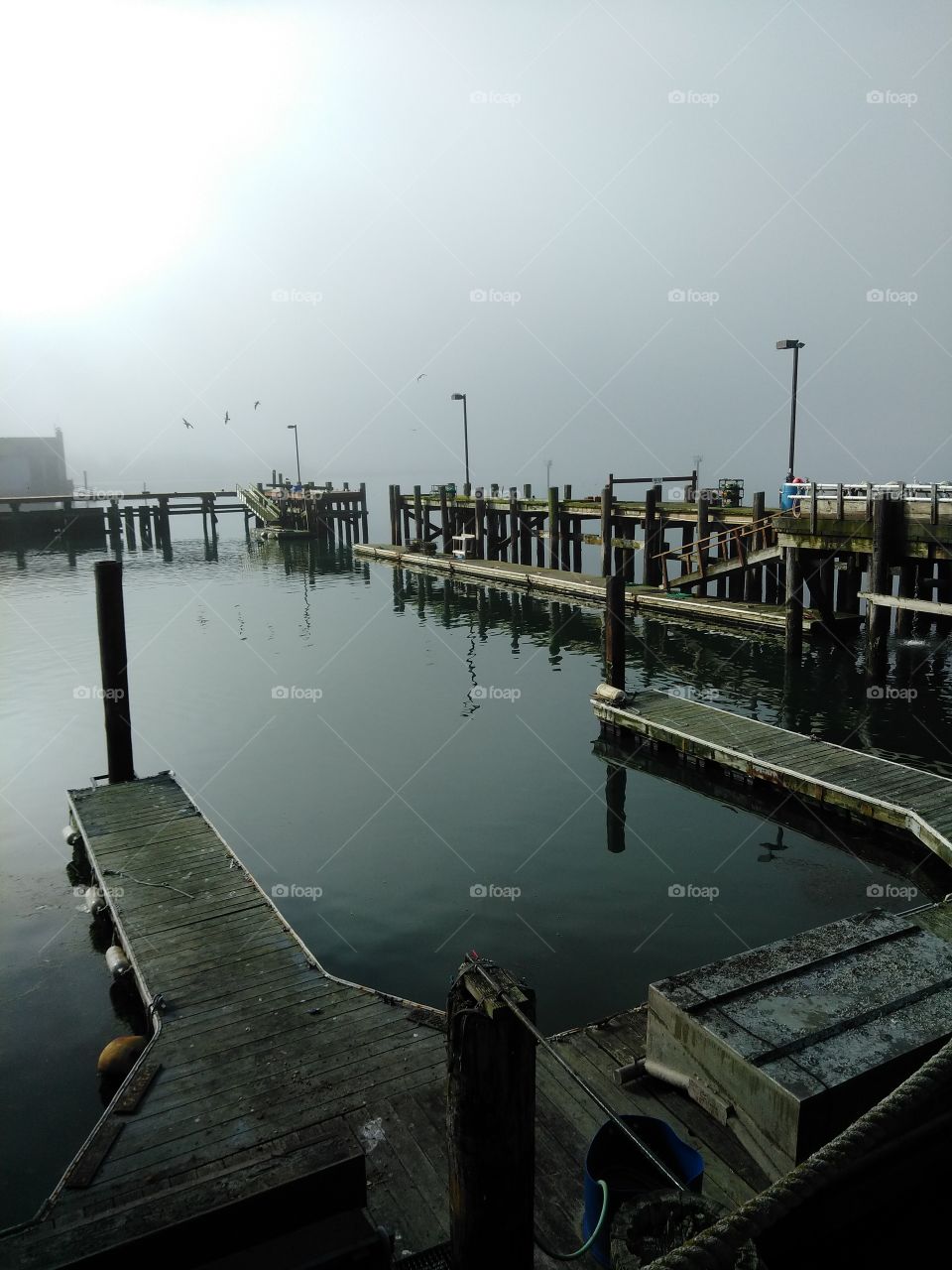 A beautiful foggy morning on the dock of the bay.