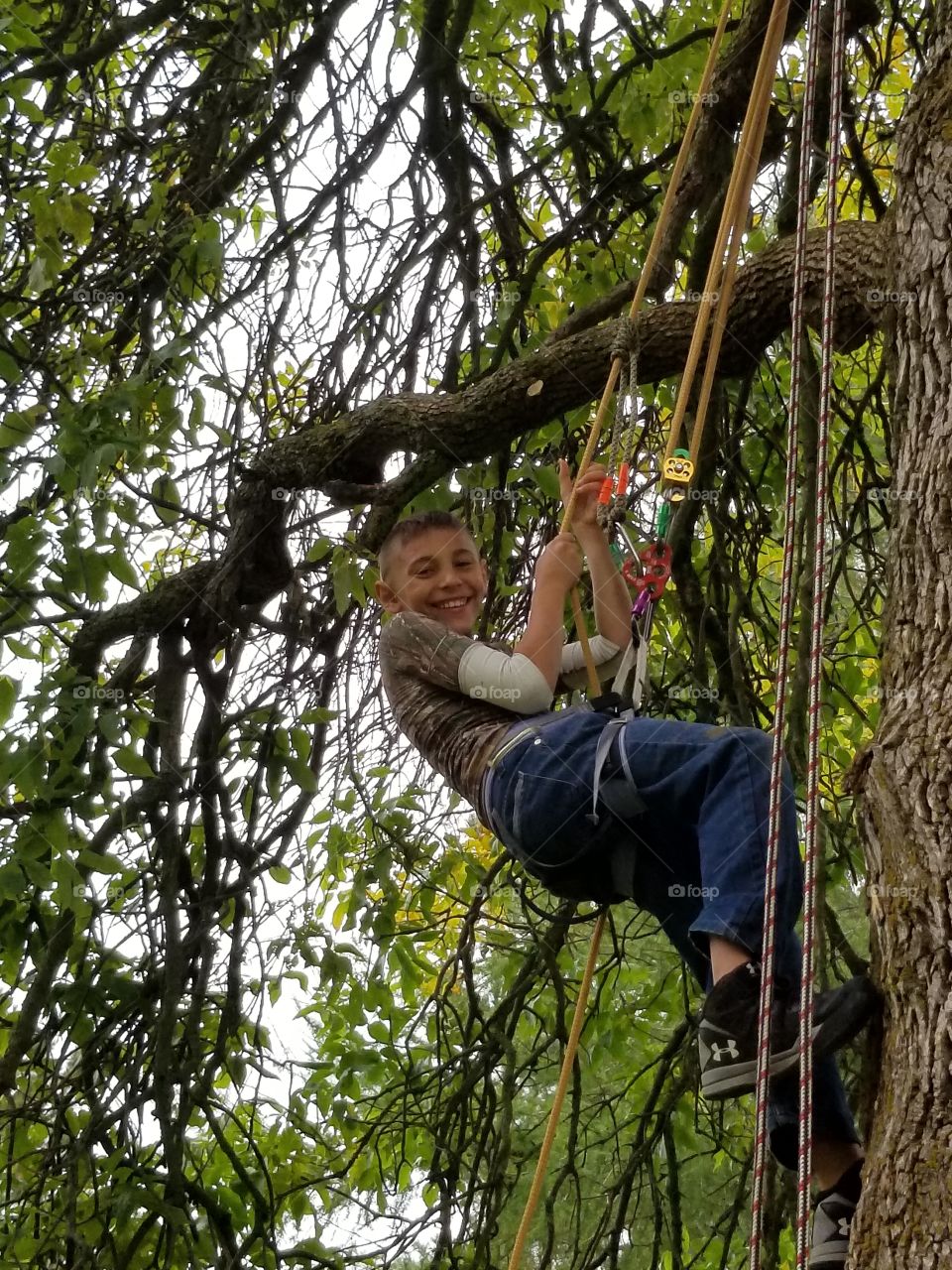 a  boy  in a tree having  fun