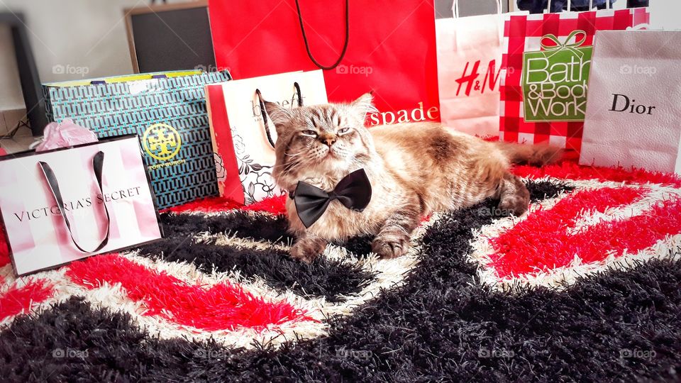 wondering which one is my Christmas gift