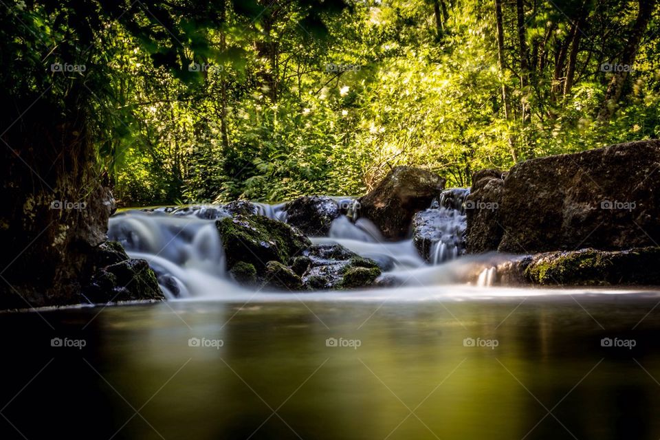 Stream flowing in forest