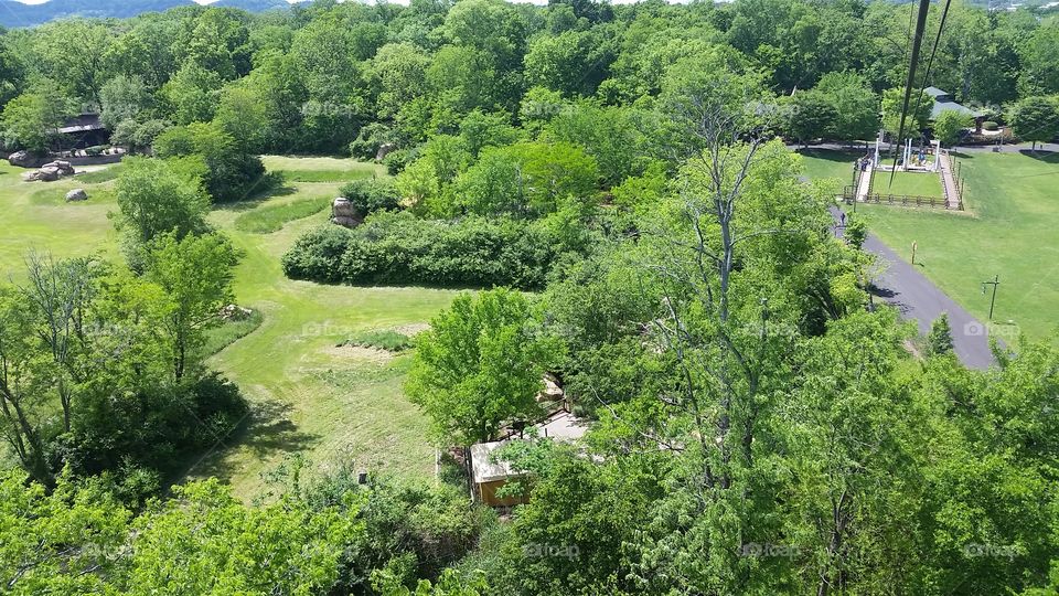 View of Zoo from zip line ride