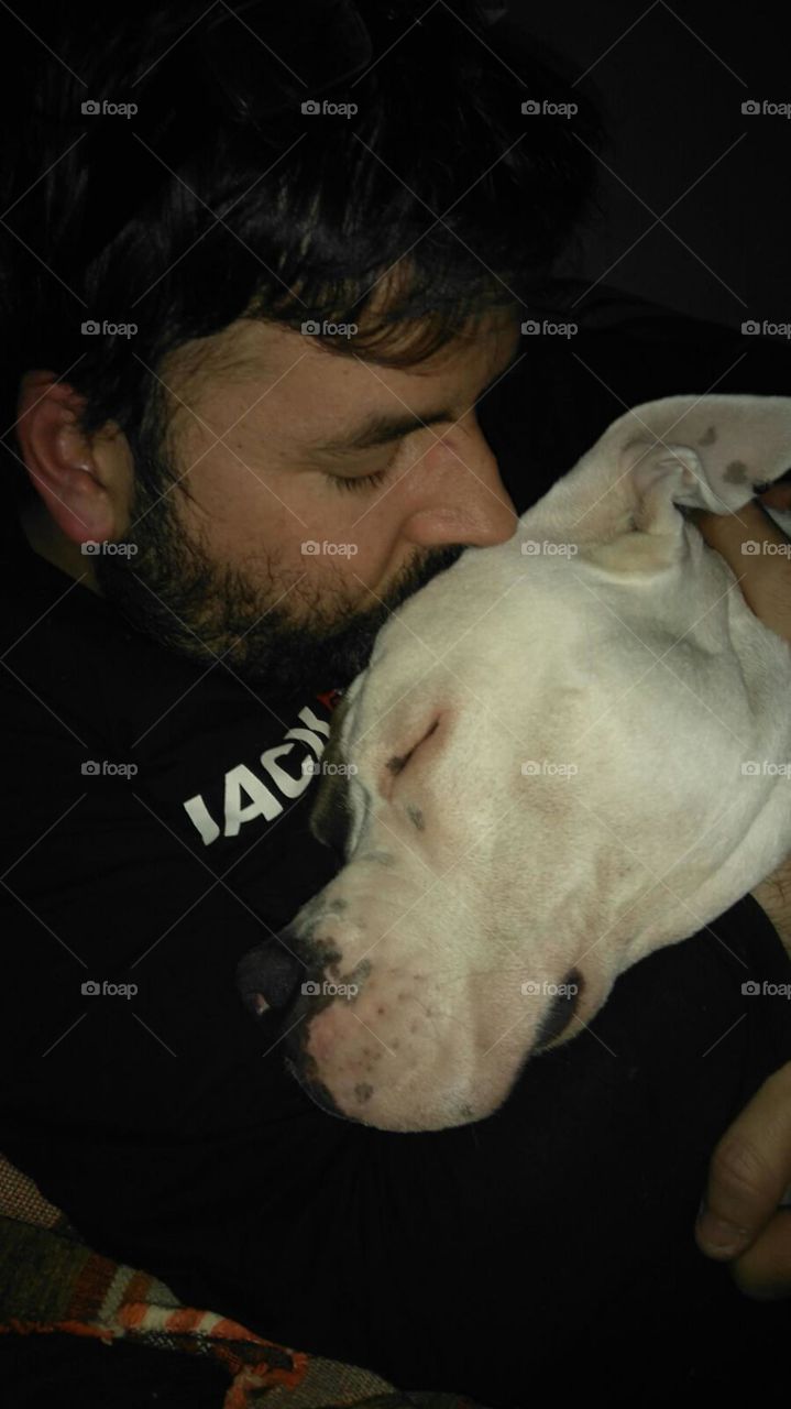 Close-up of a man kissing dog