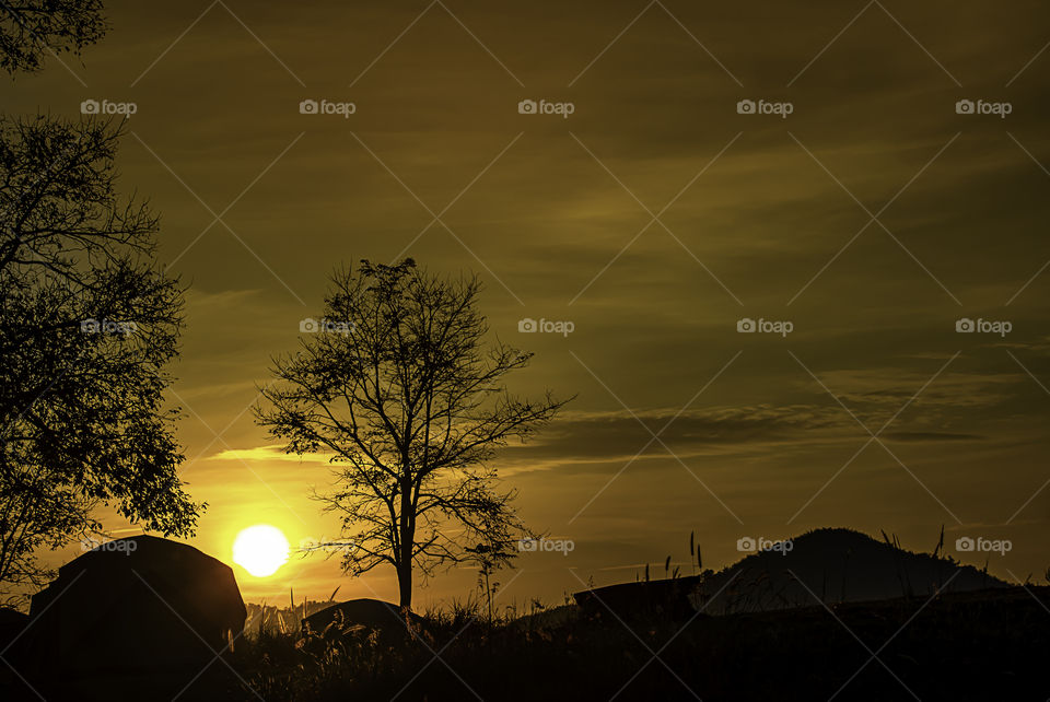 The morning sun light behind the mountains and the tree.