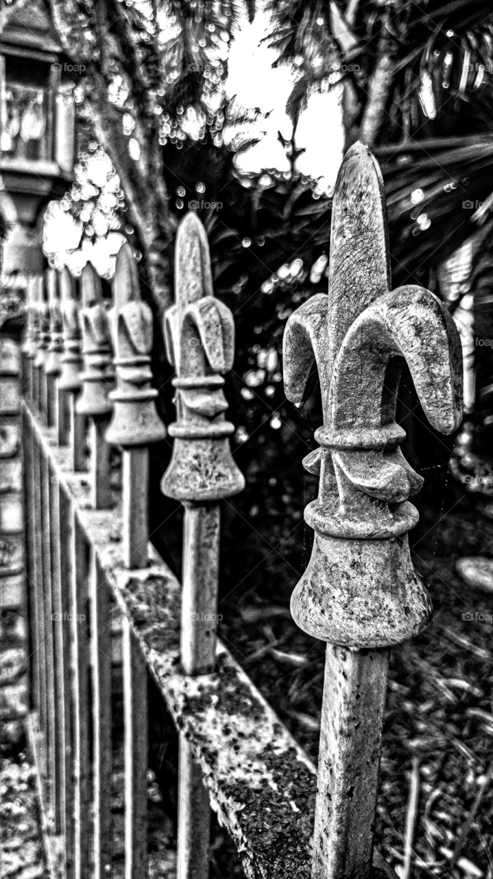 wrought iron fence