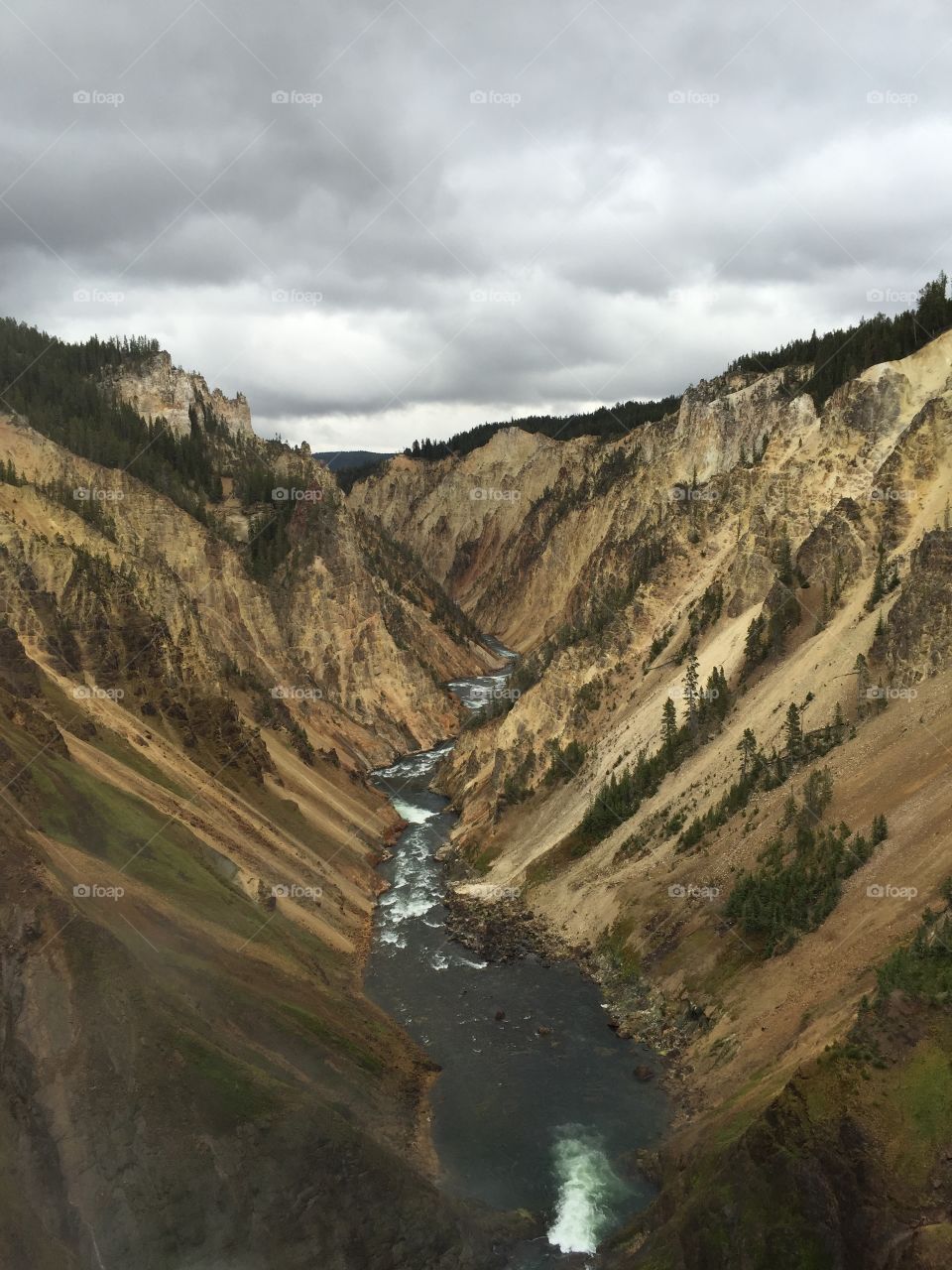 Valley and river in Yellowstone national park. 