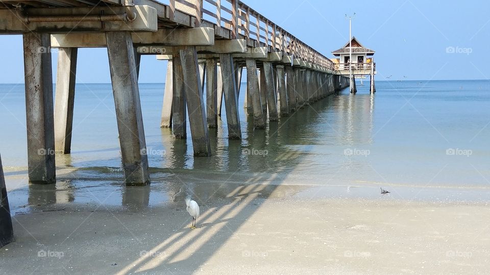 beach pier in Naples Florida
