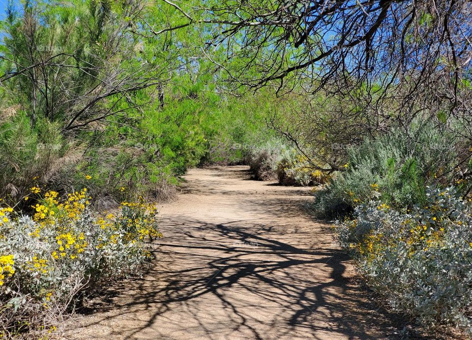 Long and Winding Road