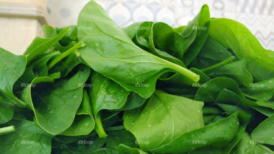 A pile of fresh spinach