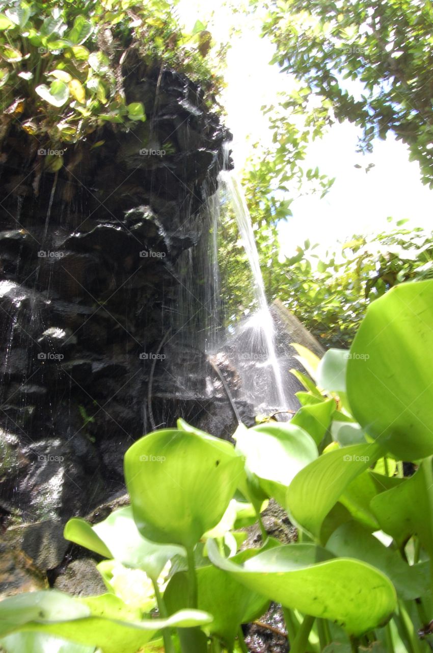 House waterfalls