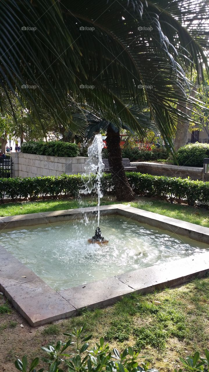 fountain