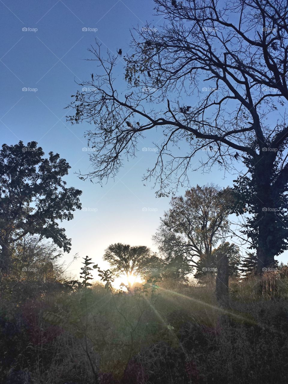 lakeside sun setting