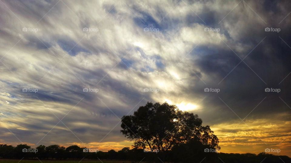 Magic hour,sunset,sunlight,sunshine,sun,landscape,colorful,nature,tree,sky,clouds,cloudy