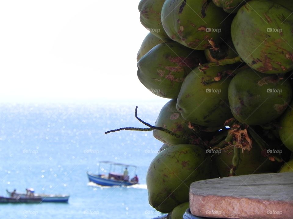 Coconut - Salvador - Porto da Barra - Bahia 
