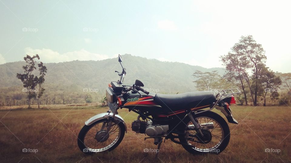 always WIN solution..