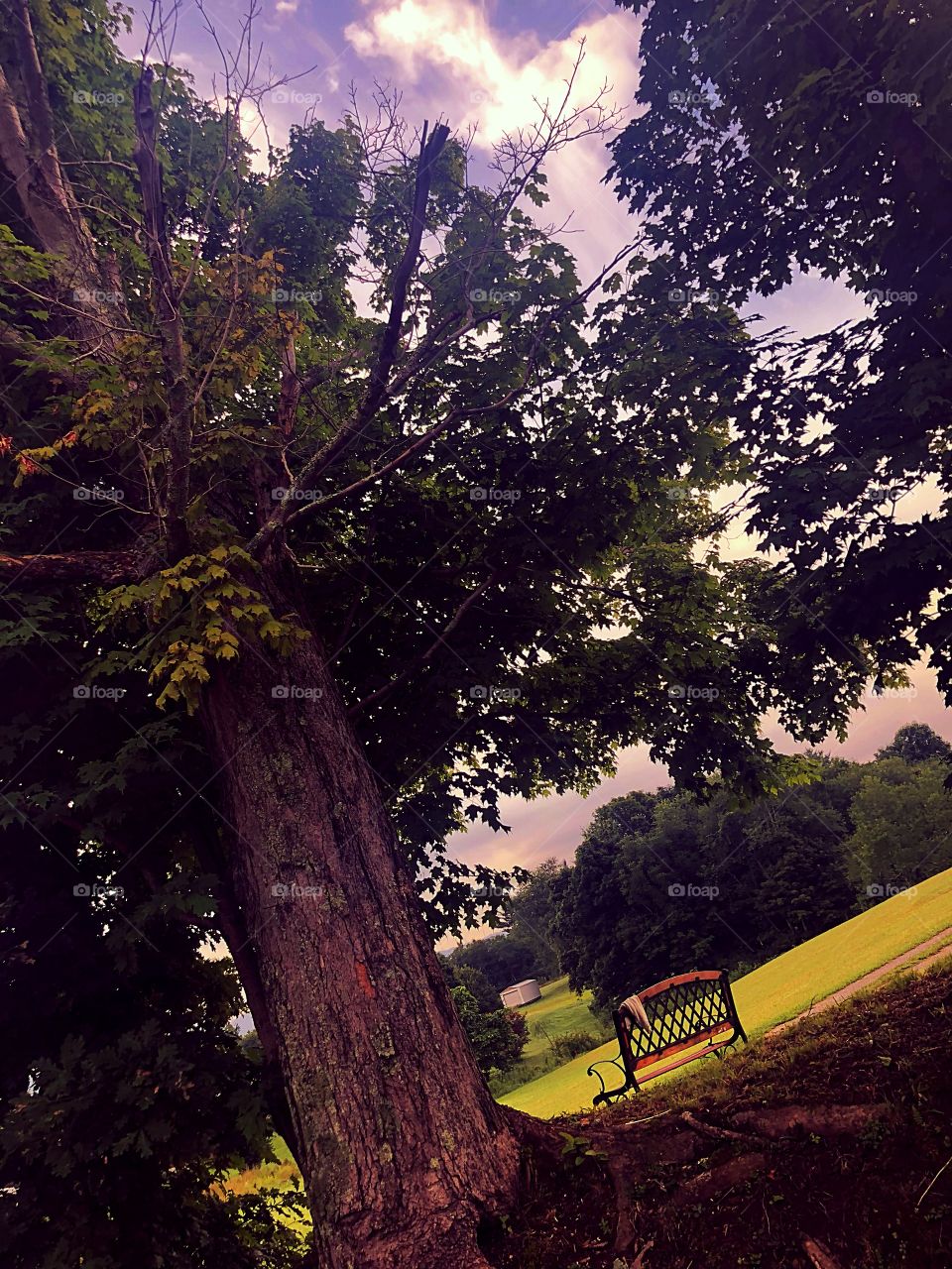 And all of a sudden, I felt the need to sit at this bench and hear Forest Gump tell me his story.