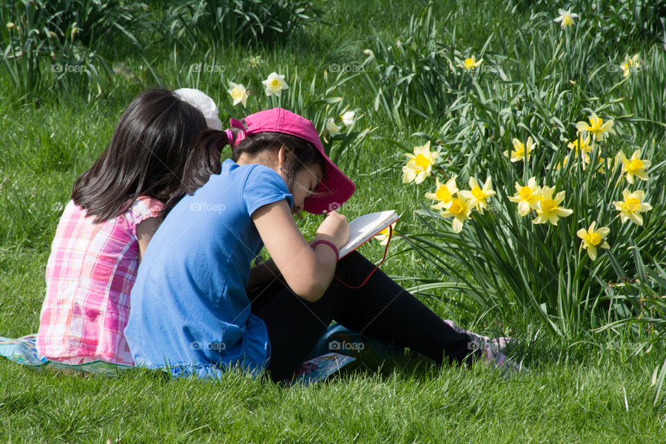 Grass, Lawn, Summer, Park, Hayfield