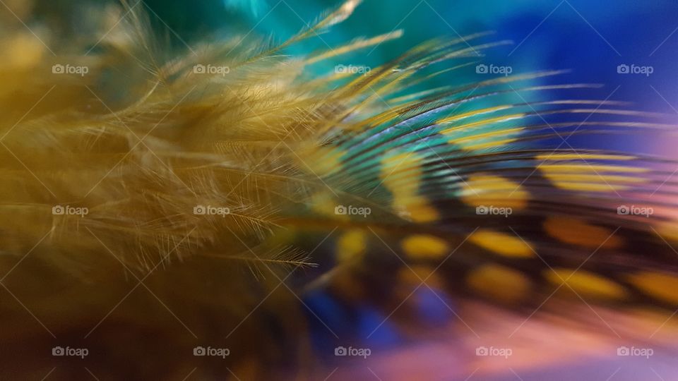 Yellow craft feathers