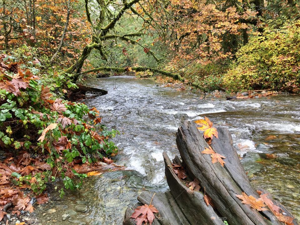 Autumn and the river