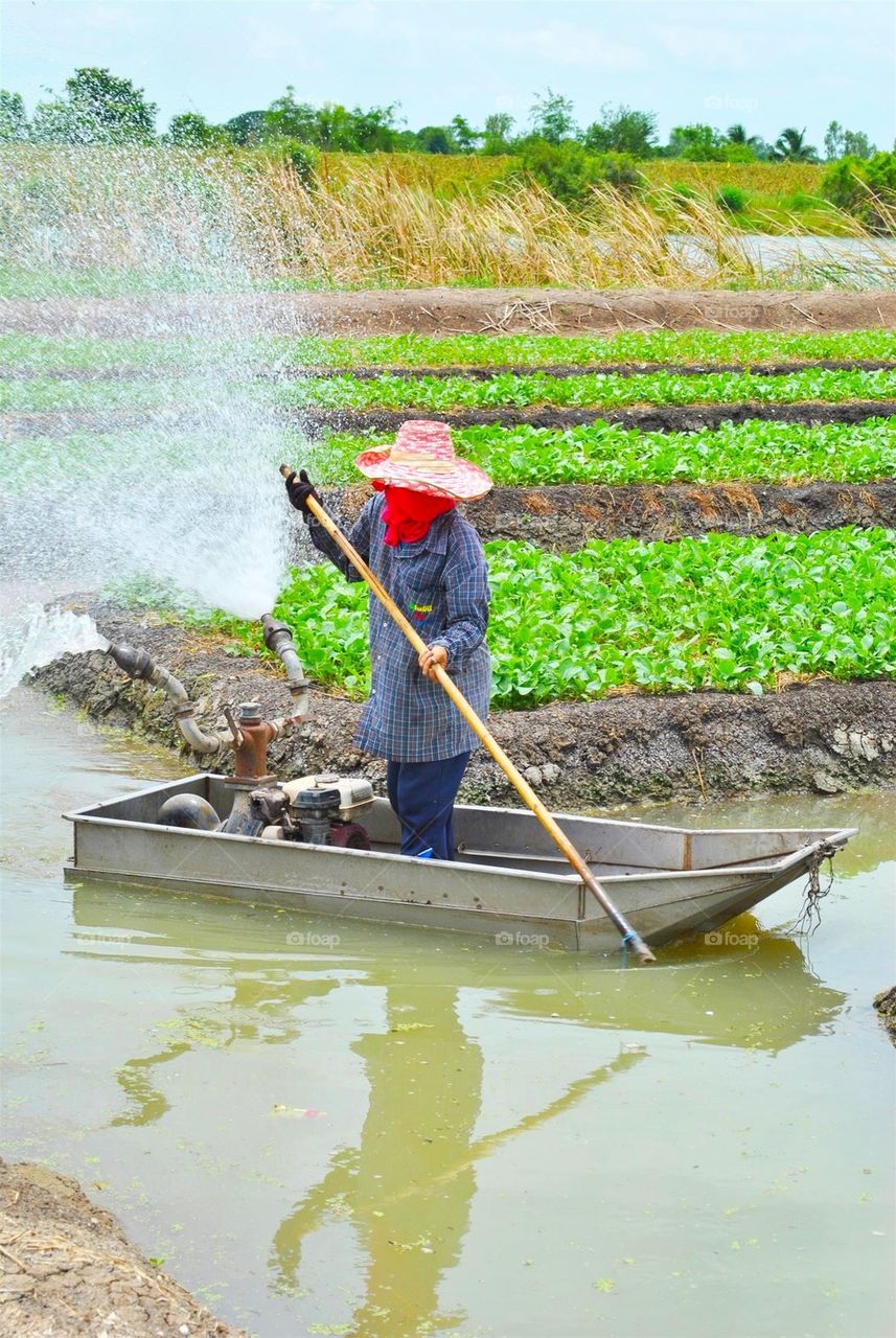 Gardener