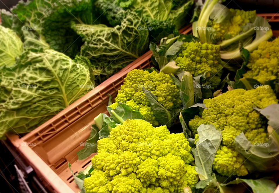 fresh vegetable. Italian romanesque broccoli
