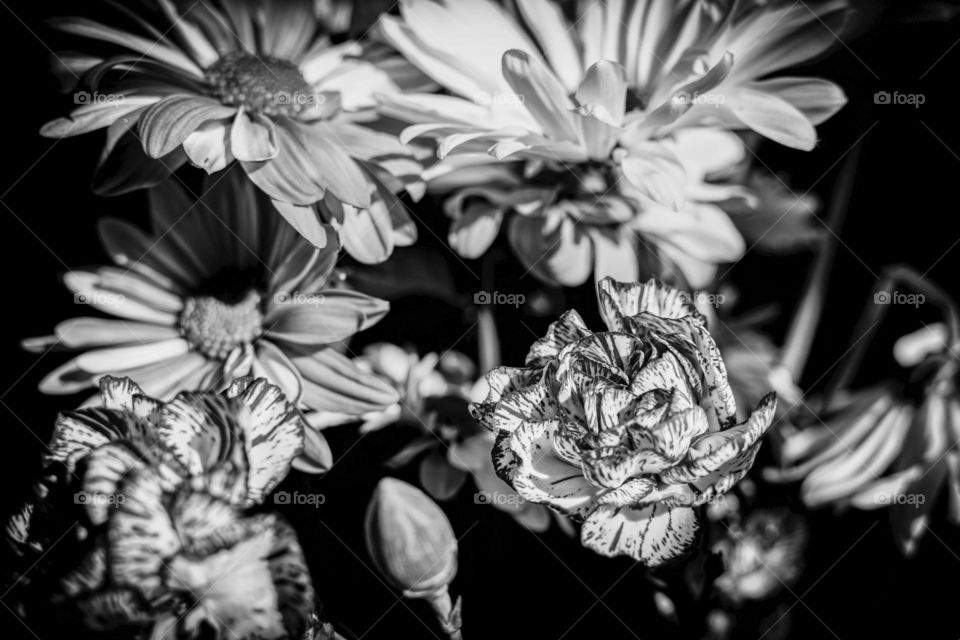 Black and white of bouquet 
