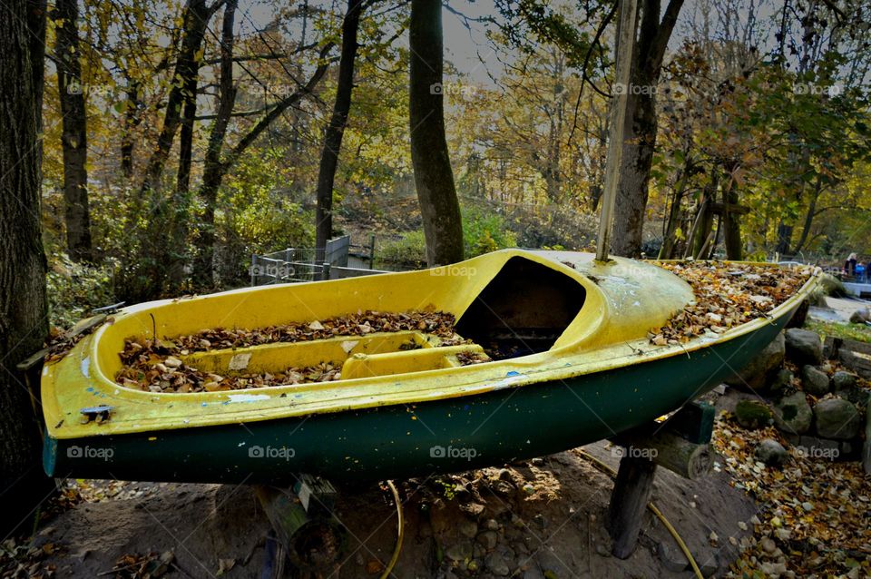 the autumn boat