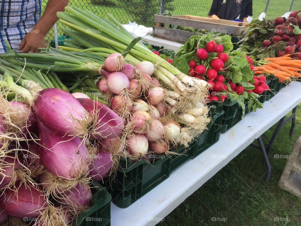 Fresh garden vegetables 