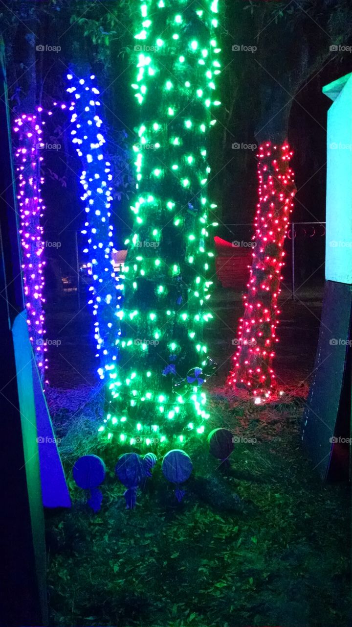 Tree Lights