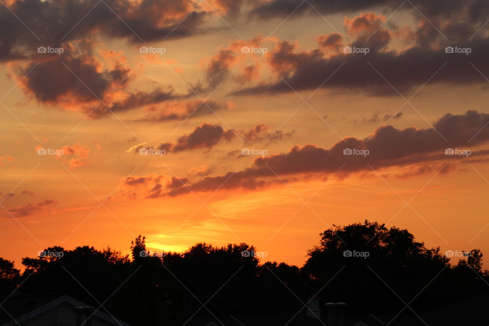 Sunset over tree line 2