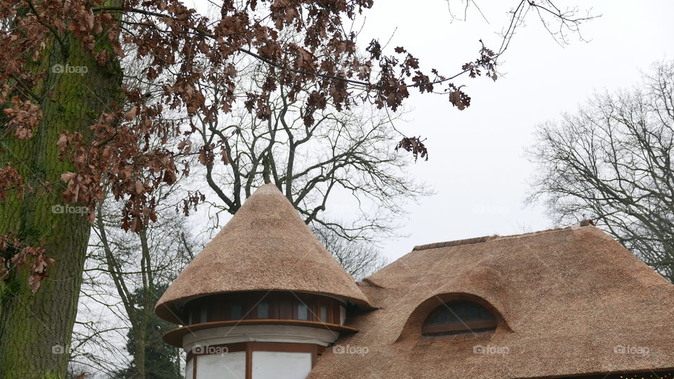 Roof of a bistro in the park