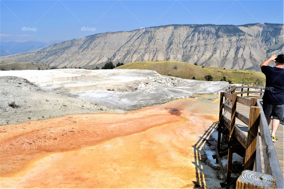 Yellowstone Spring Terrace 