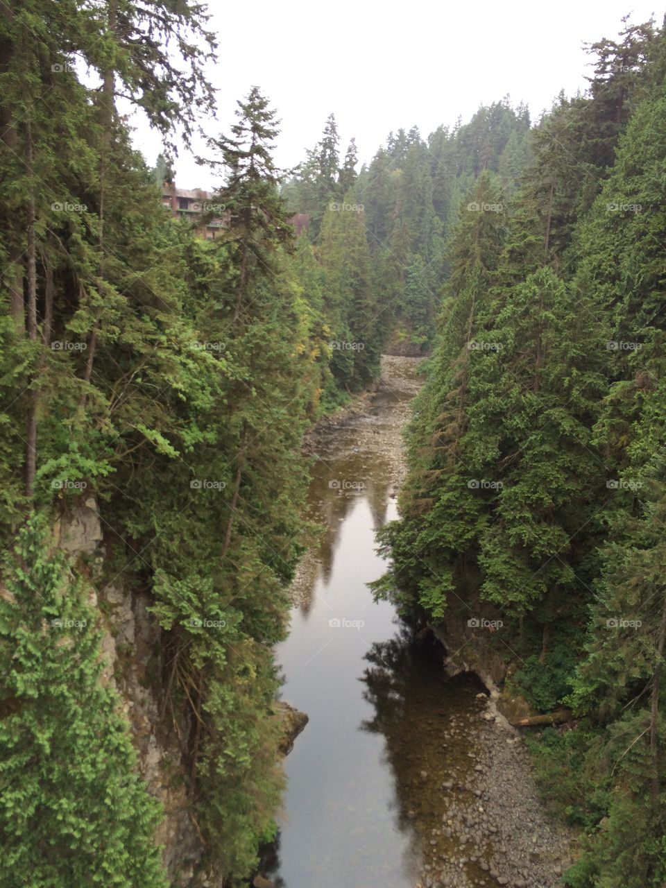 No Person, Water, Nature, Wood, Outdoors