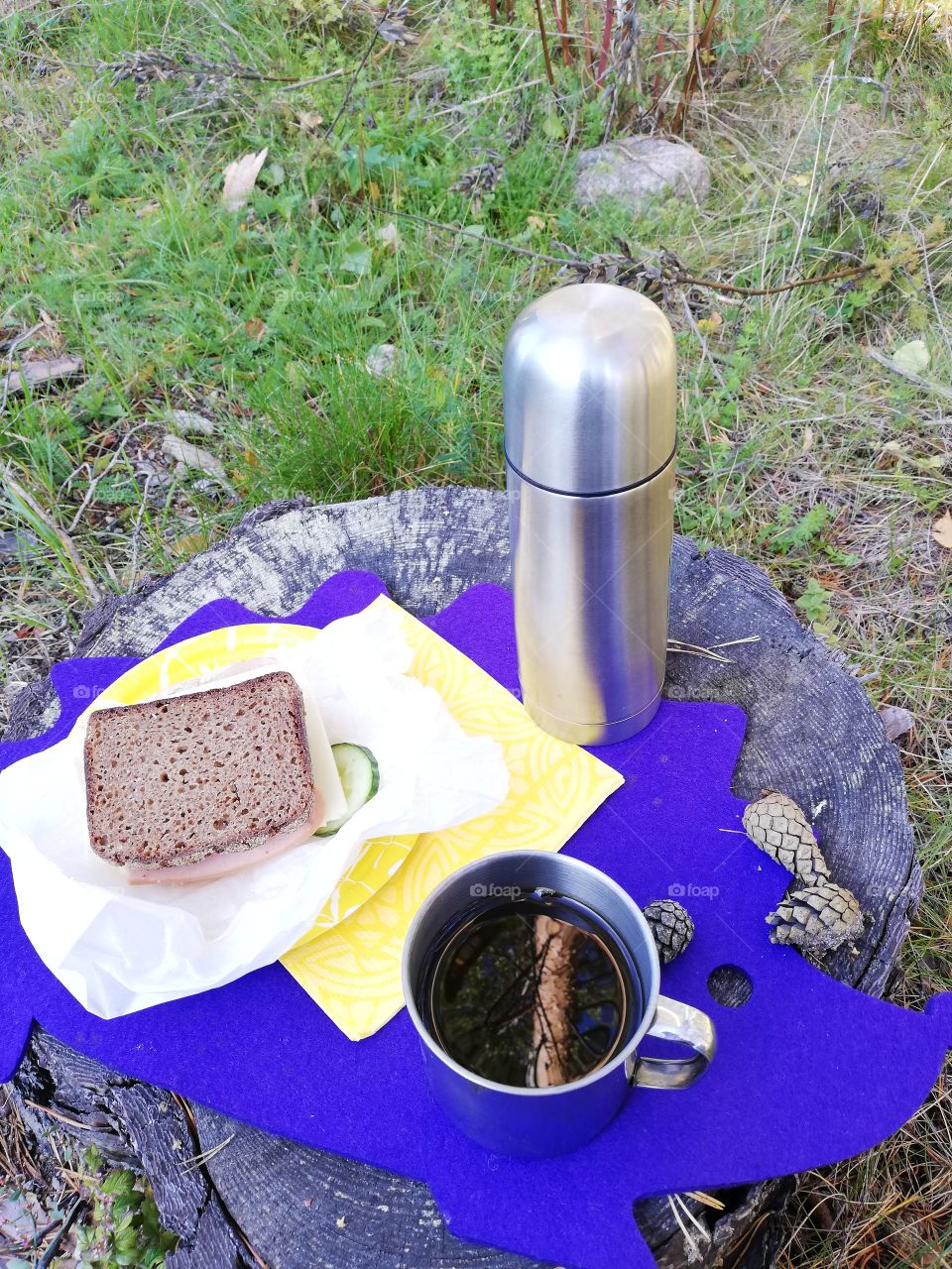 A thermos made of steel, a metallic mug, a sandwich, a paper bag, yellow and white patterned napkin and plate on a violet hedgehog place mat on a stump. A reflection on the coffee, cones and needles