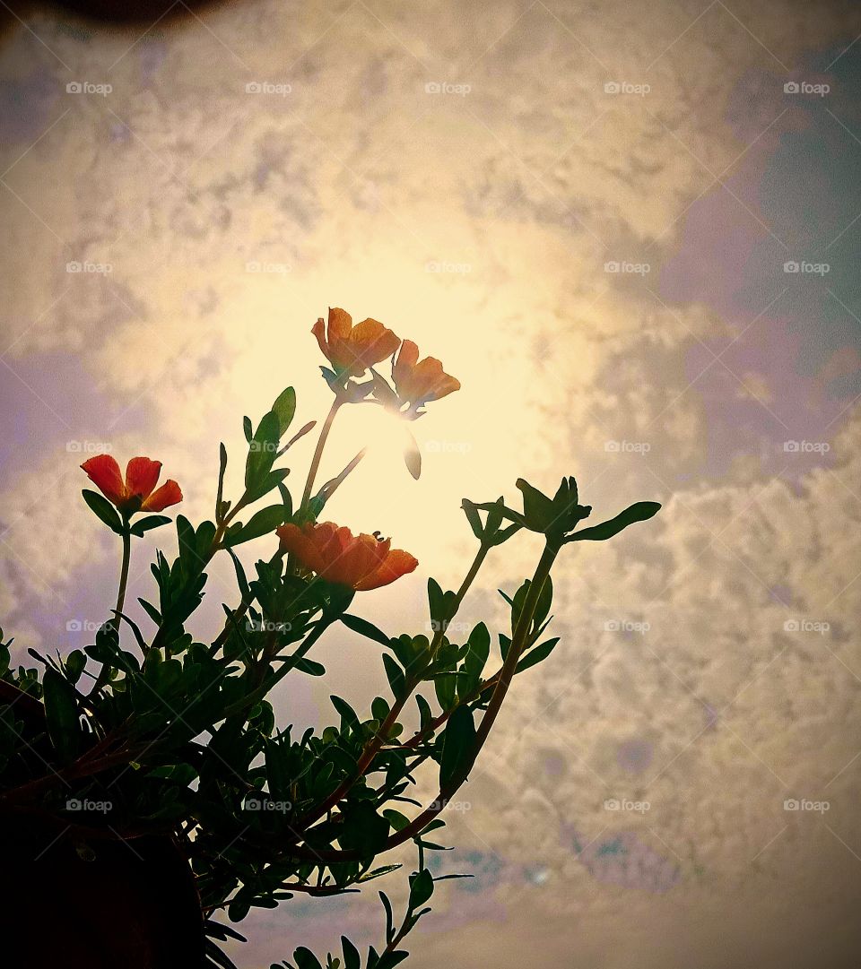 #today #love #instagram #instagood #like #follow #photography #life #photooftheday #me #happy #picoftheday #beautiful #instadaily #nature #fashion #photo #art #likeforlikes #smile #motivation #myself #now #style #day #selfie #music #insta #l #bhfyp