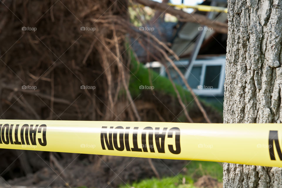 Caution tape surrounding fallen tree