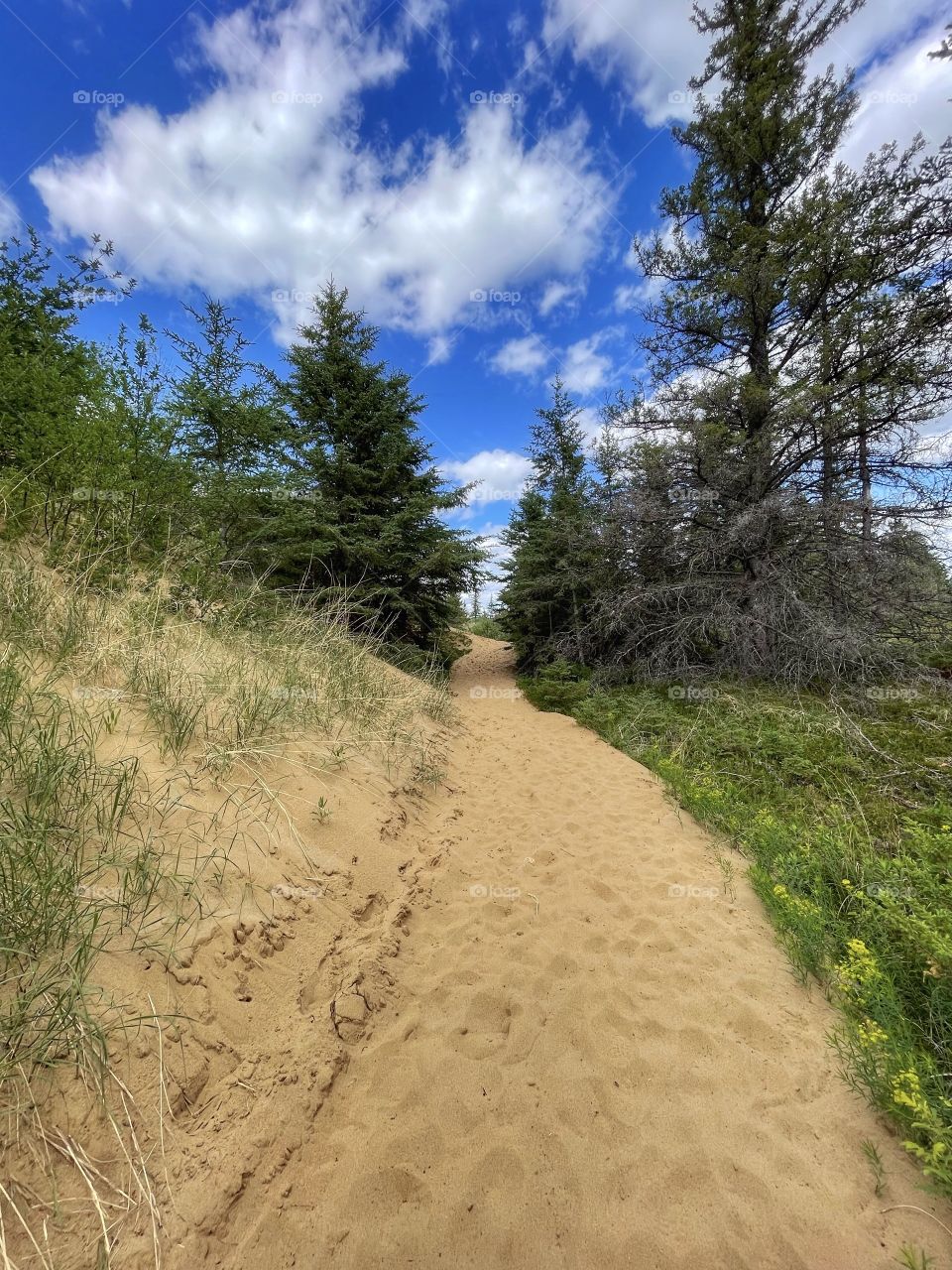 Desert trail