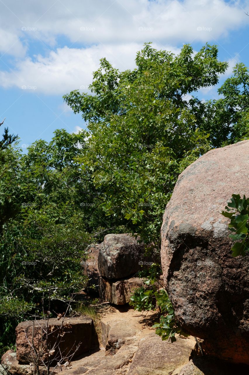 Scenic landscape view