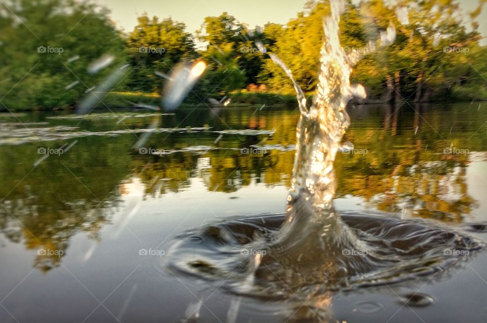 Water Whirling Out of the Pond
