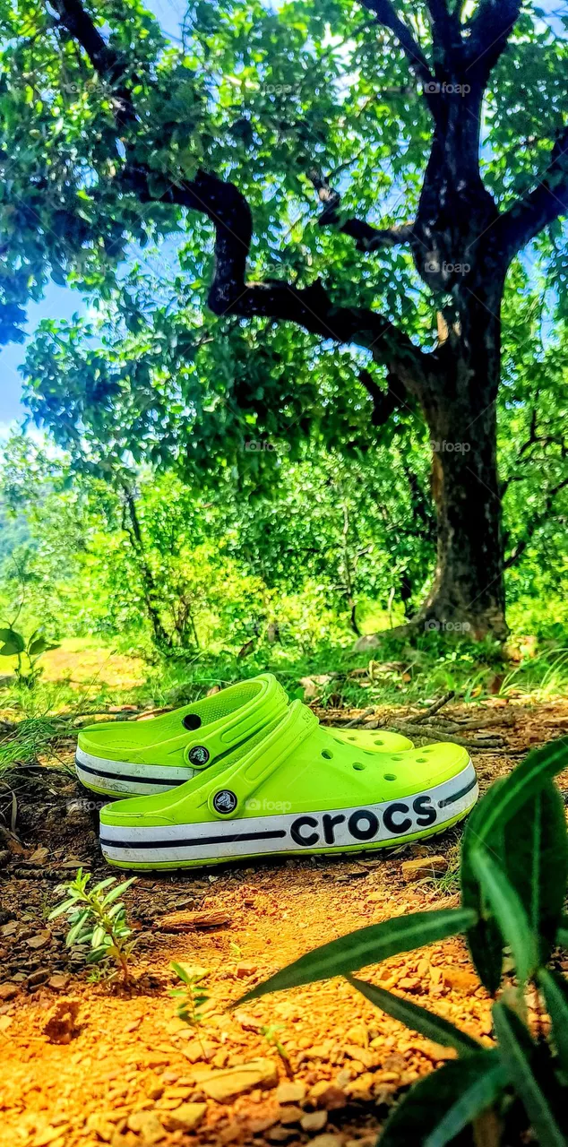 Forest trip