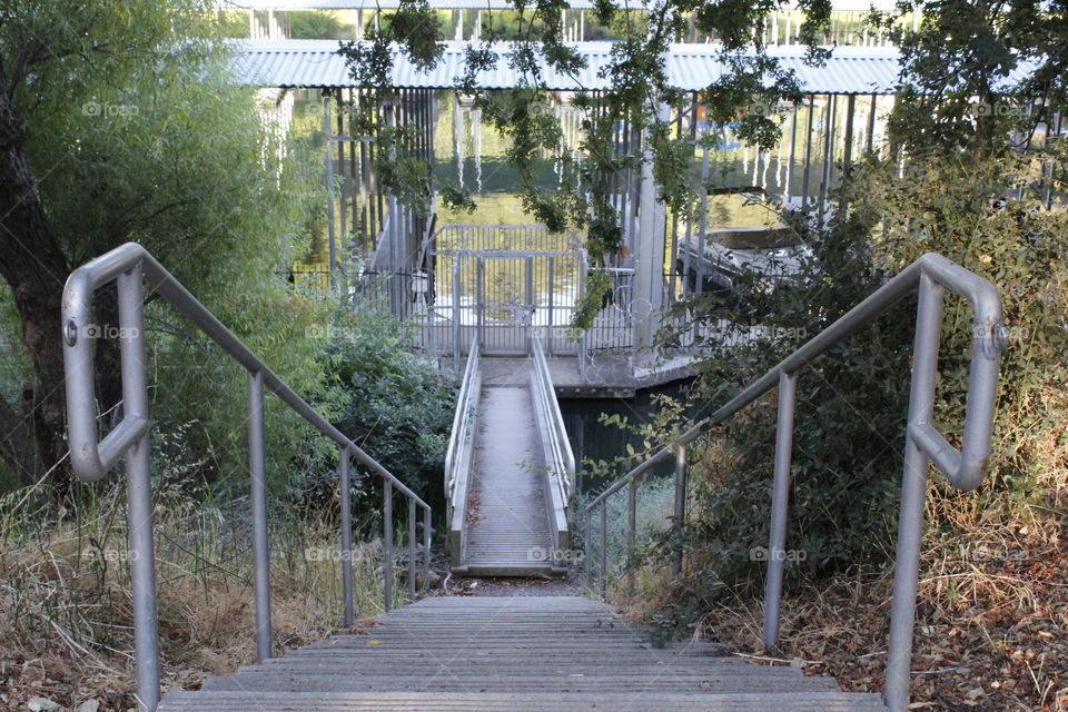 stairs. Handrail. Gateway. boat dock. Northern California