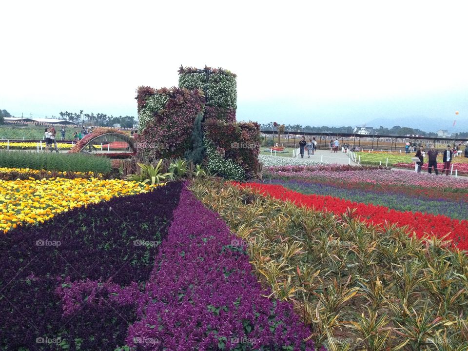 A flower arrangement at a tulip festival in Taiwan. 