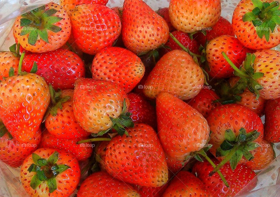 Strawberry fresh berries