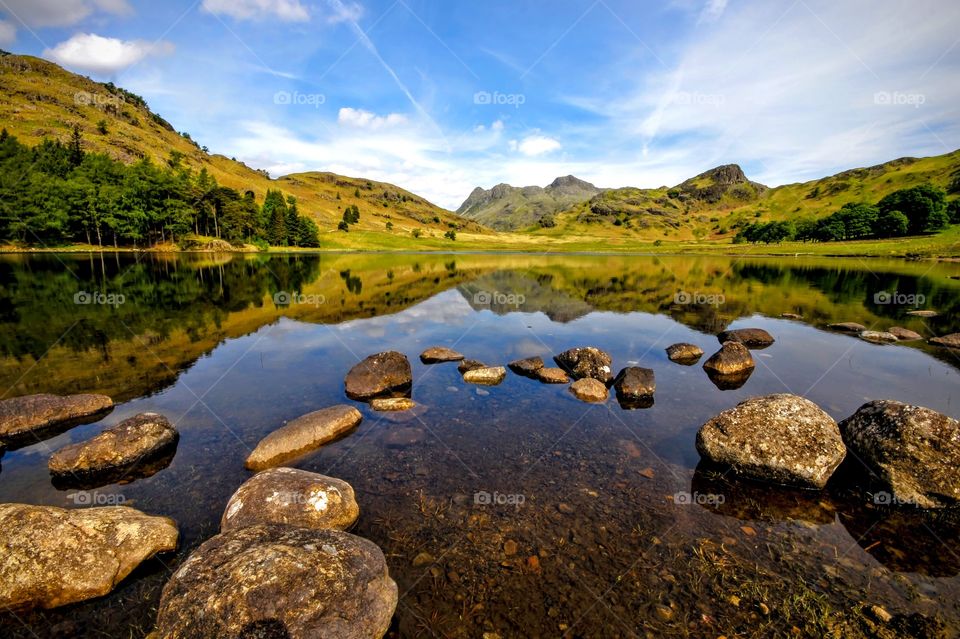 Scenic view of lake