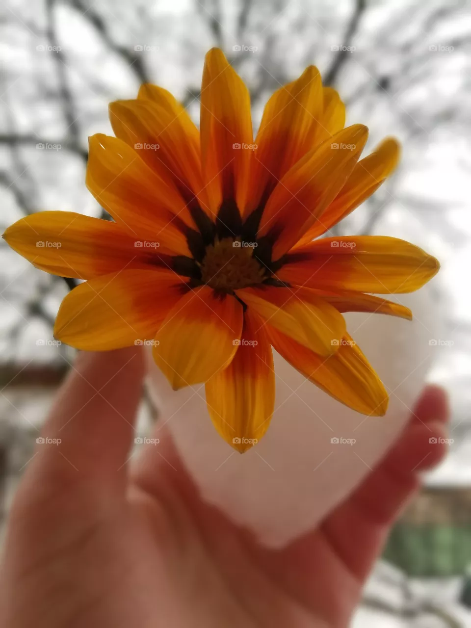 summer and snow
