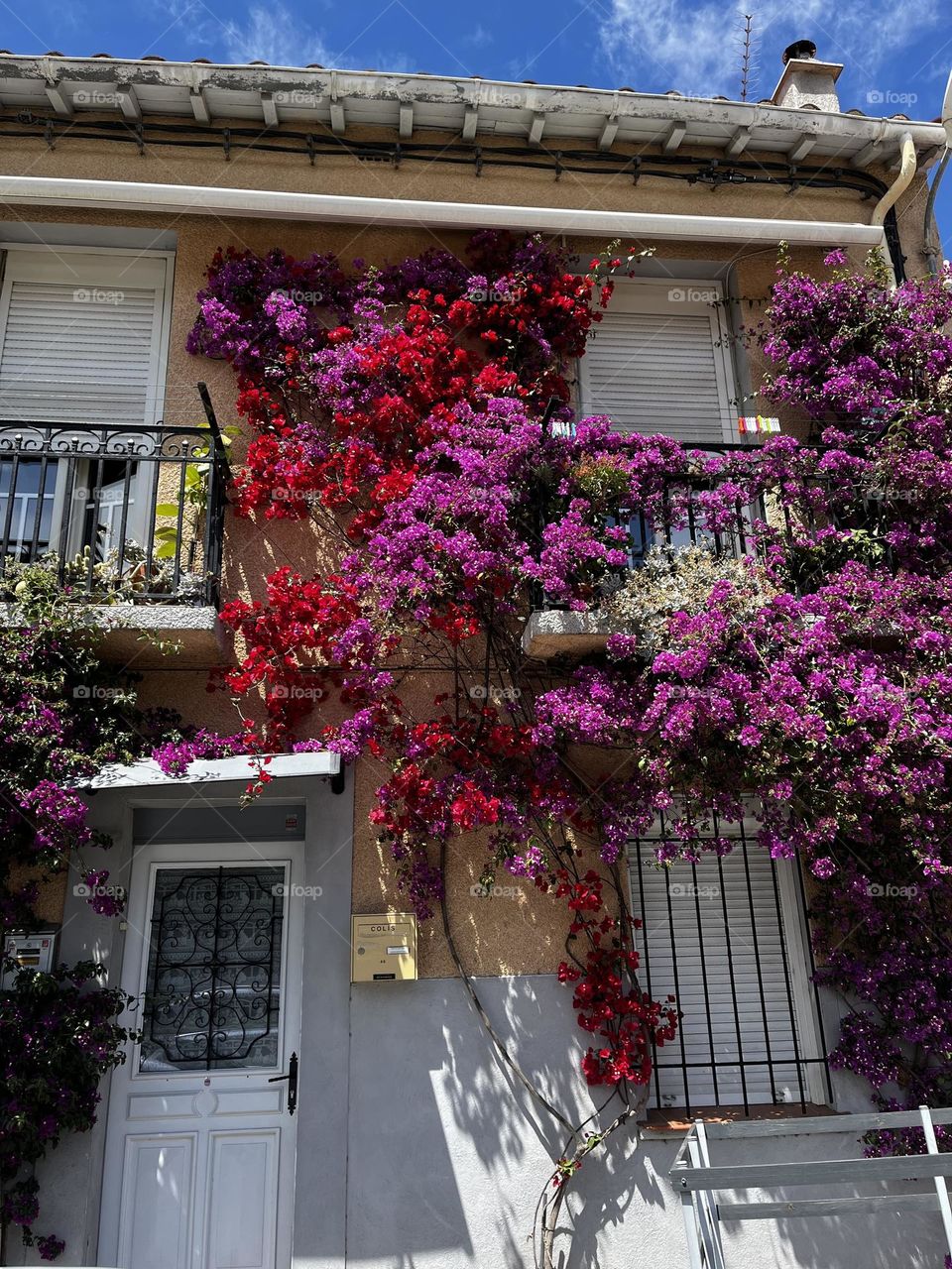 "This marriage of stone and nature highlights the purity of the white wall, warmed by the brilliance of red flowers mingling with the beauty of fuchsia."