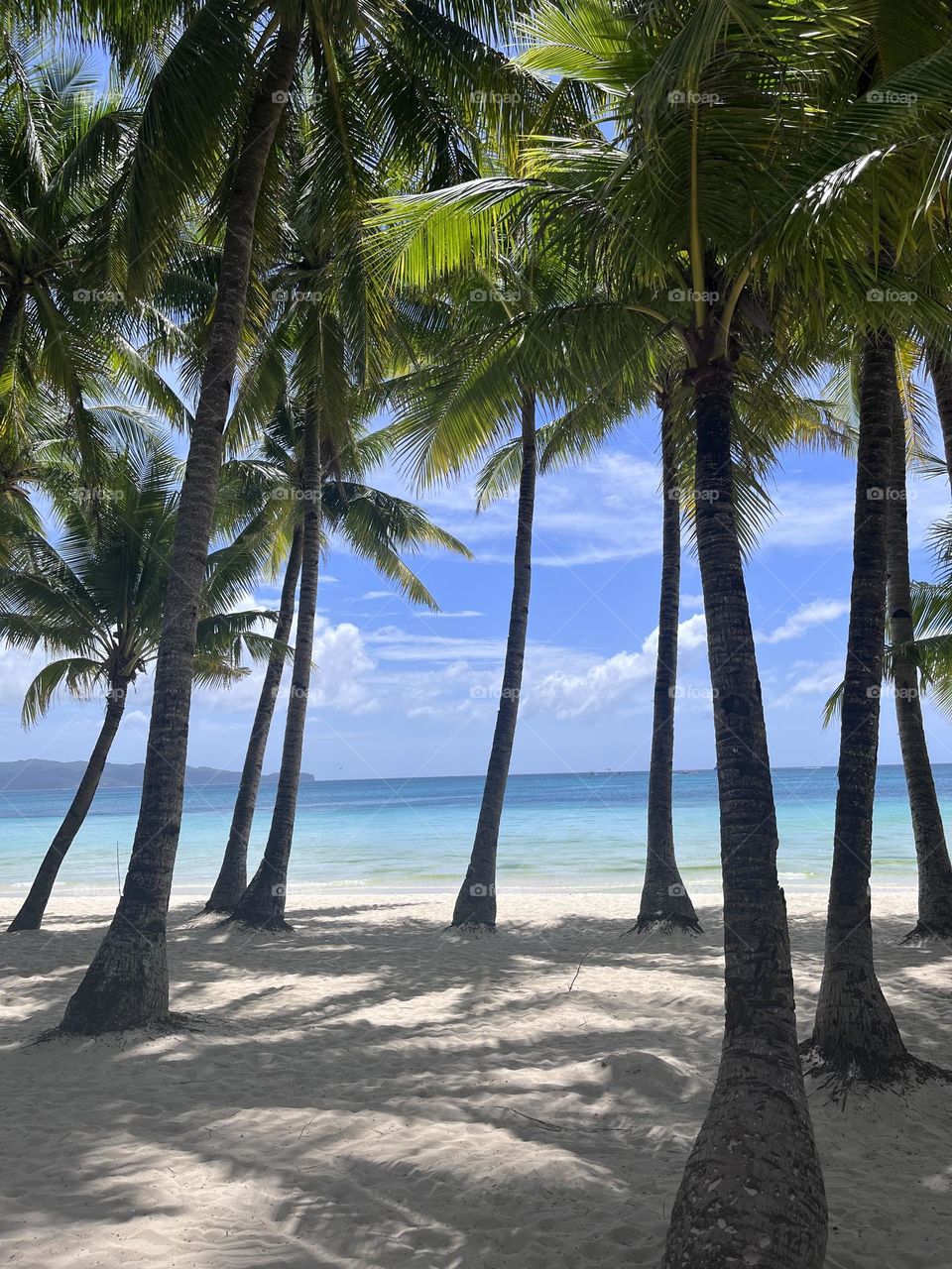 Summer in philippines