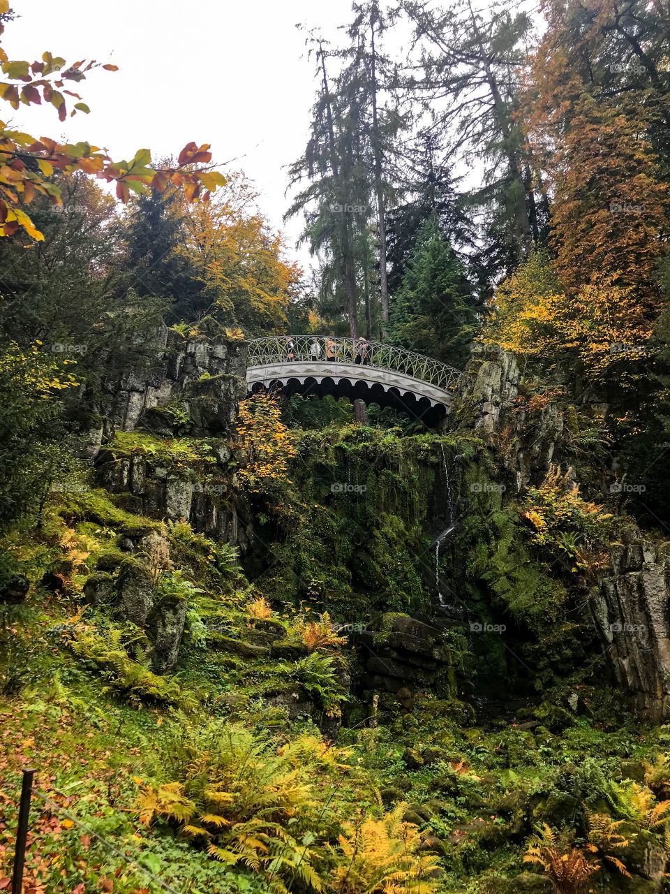 There is a bridge over the sides of the mountain , there are some people walking on it , the rocky mountain is covered with moss and surrounded by many big trees. The autumn scenery is so beautiful. 