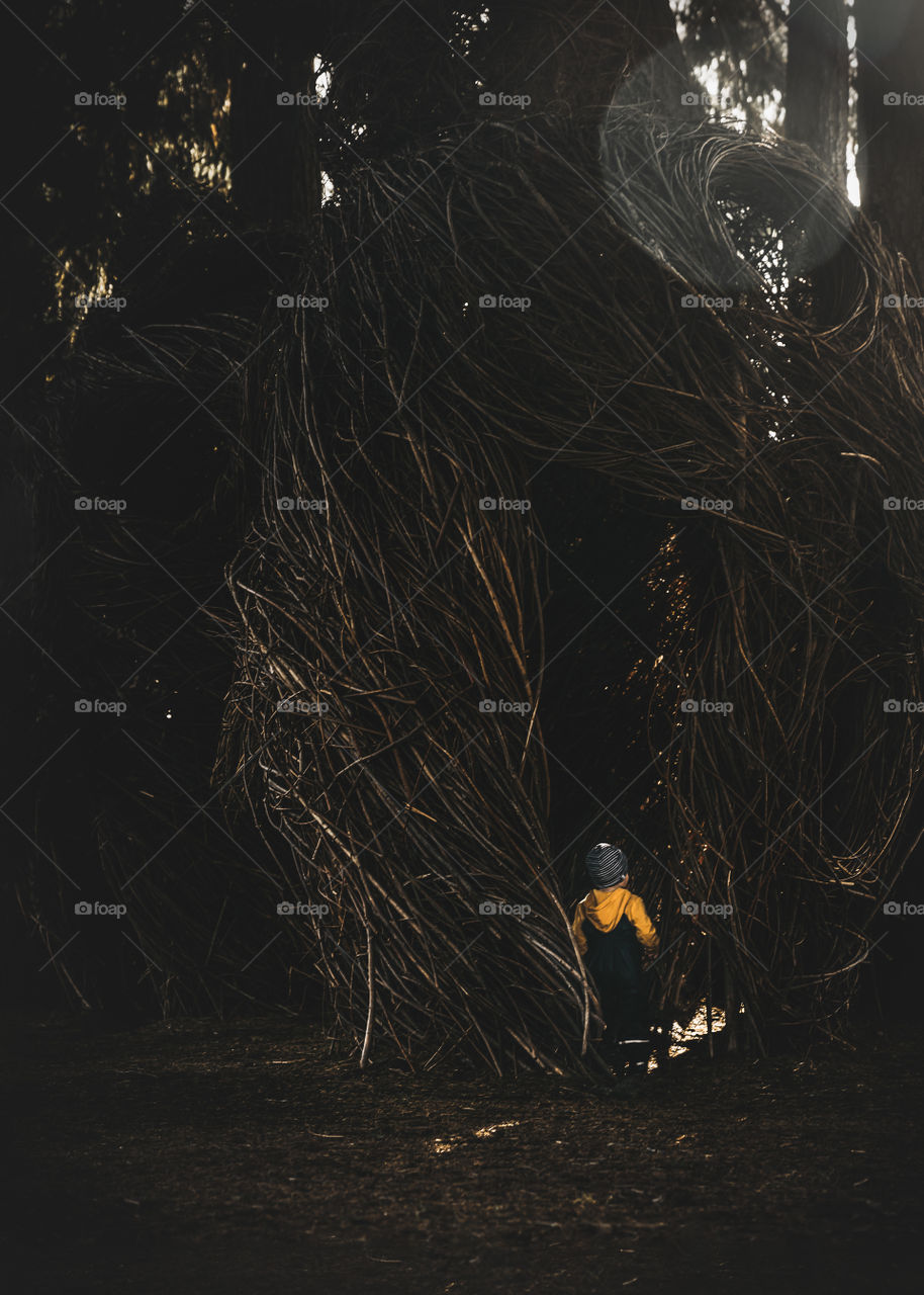 Mysterious fall play in park 